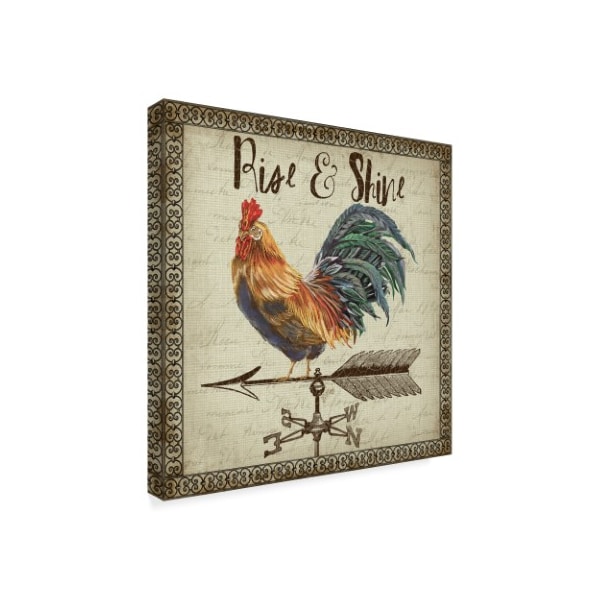 Jean Plout 'Rustic Rooster Vane 4' Canvas Art,14x14